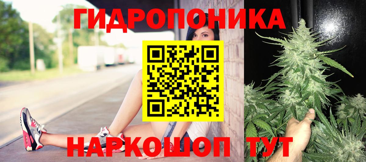 Бошки марихуана гибрид  Шишки марихуана Bruce Banner  Вход с VPN  Чапаевск  Конопля MAZAR 